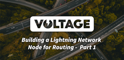 Building a Lightning Network Node for Routing - Part 1