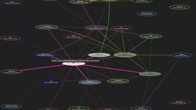 Lightning Network Subnets as the Basis for a Bayesian Network-Based Trust Model for a Global Decentralized Cloud Computing Marketplace